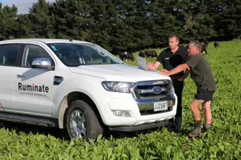 ruminate staff working on a laptop outdoor