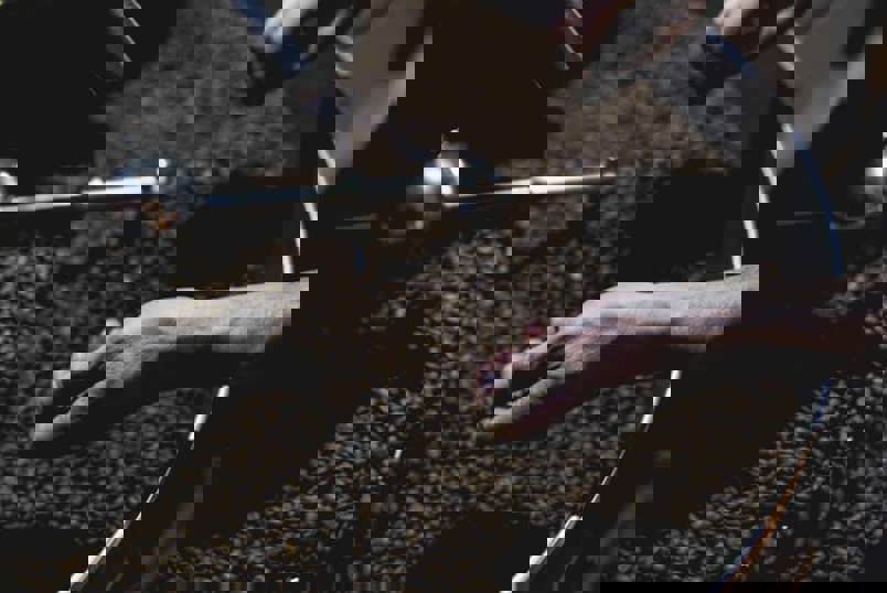 coffee grinder machine