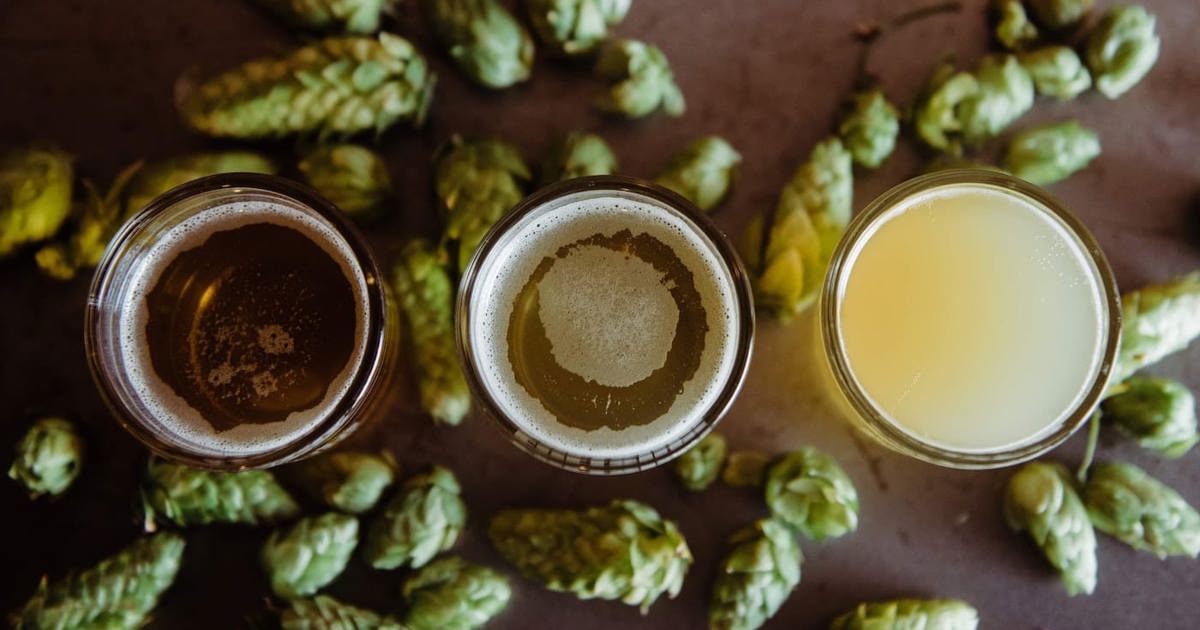 Beer Supply Chain Management in 2025: How it Works