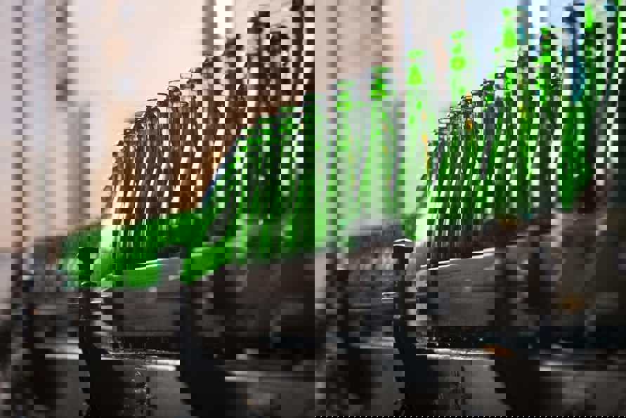 beverage manufacturing