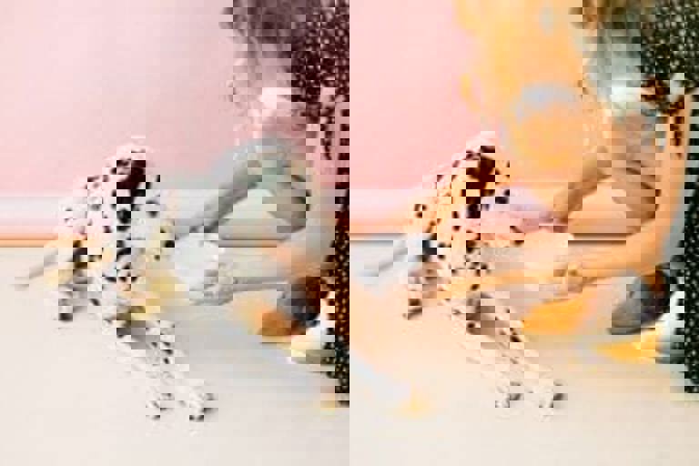 Sustainable pet food packaging