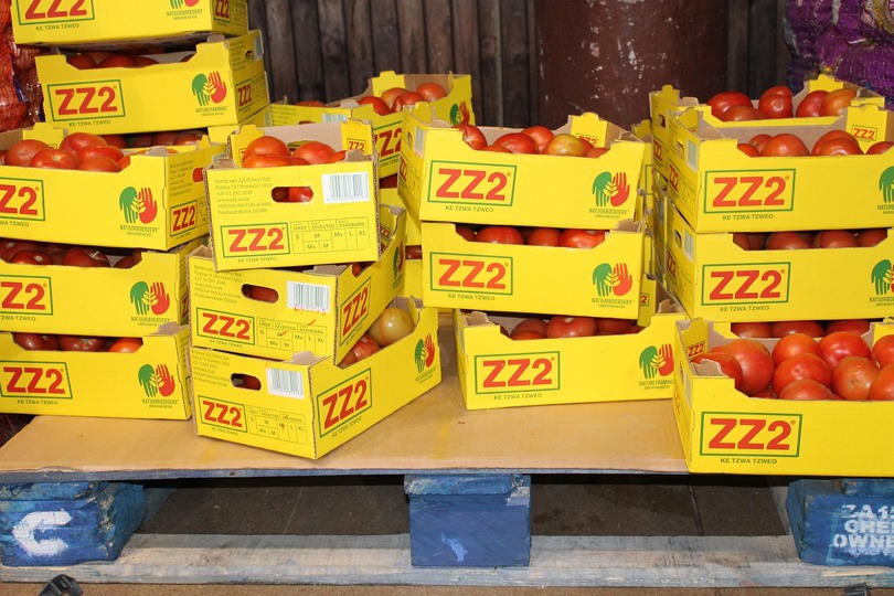 boxed tomatoes in a warehouse